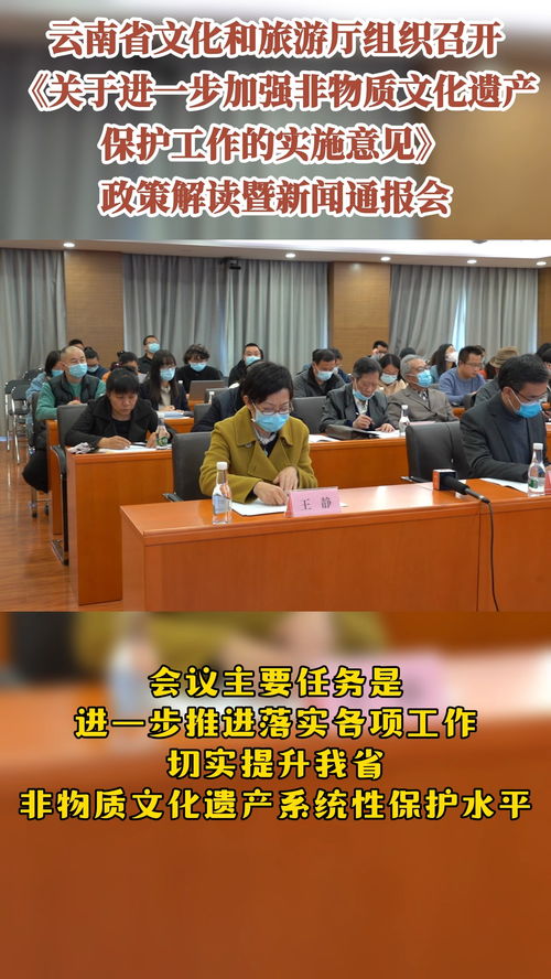非物質文化遺產保護政策解讀與文化藝術交流動態(tài)